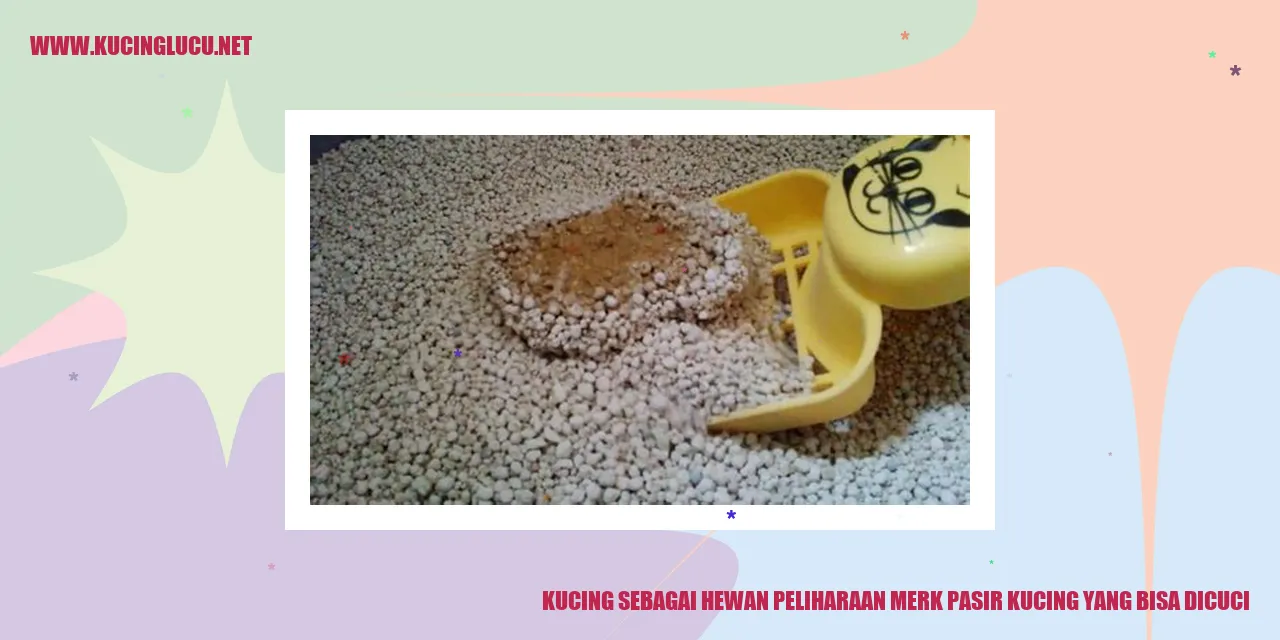 Kucing sebagai Hewan Peliharaan merk pasir kucing yang bisa dicuci