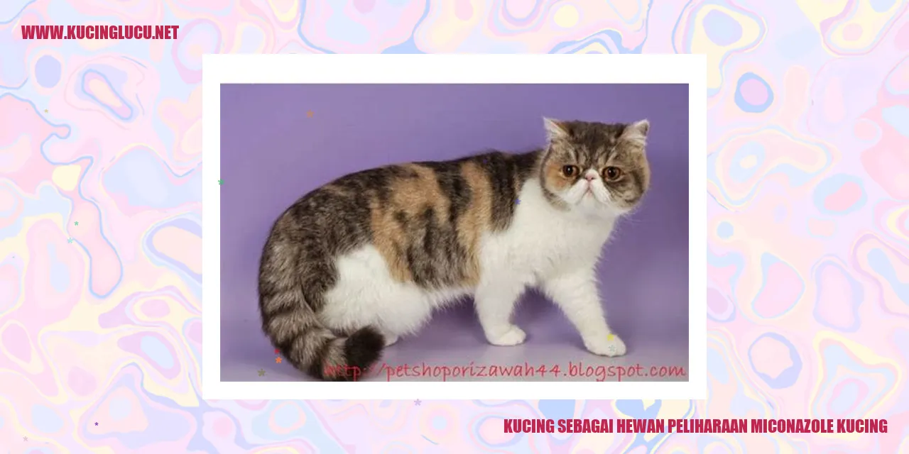 Kucing sebagai Hewan Peliharaan