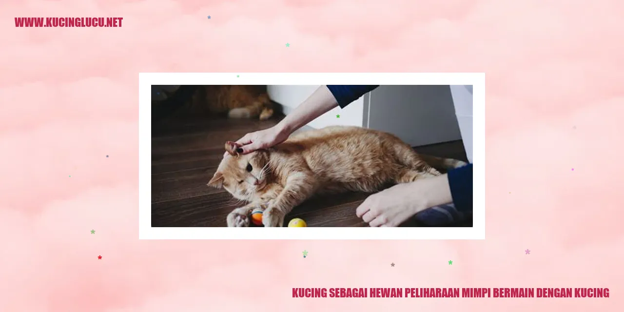 Kucing sebagai Hewan Peliharaan mimpi bermain dengan kucing