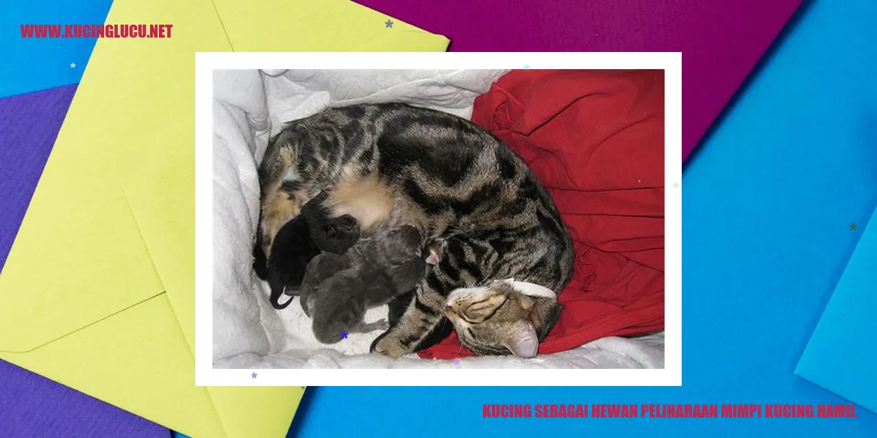 Kucing Hamil