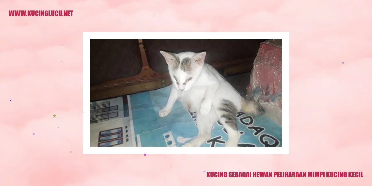 Gambar kucing imut