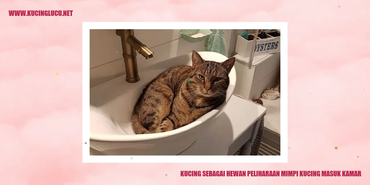 Ilustrasi Kucing
