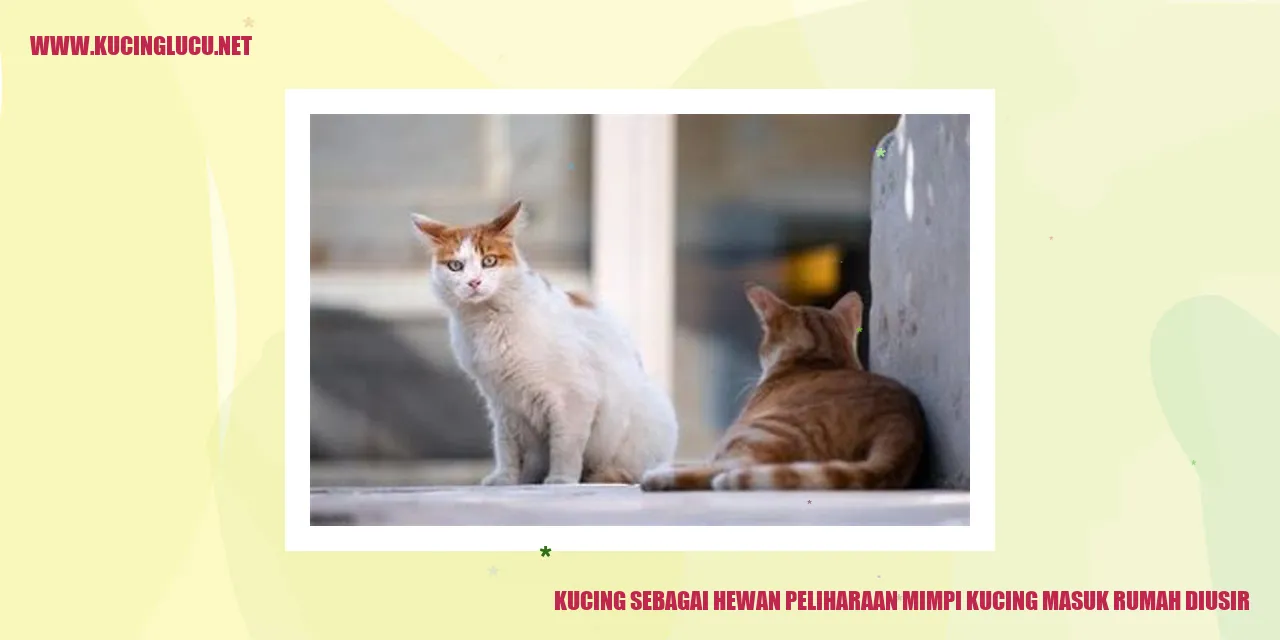 Potret Kucing yang Mengintip dalam Lingkungan Rumah