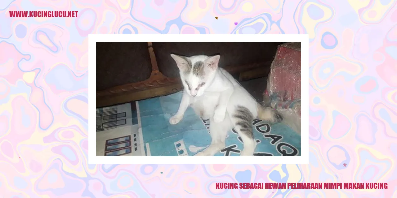 Kucing menggemaskan