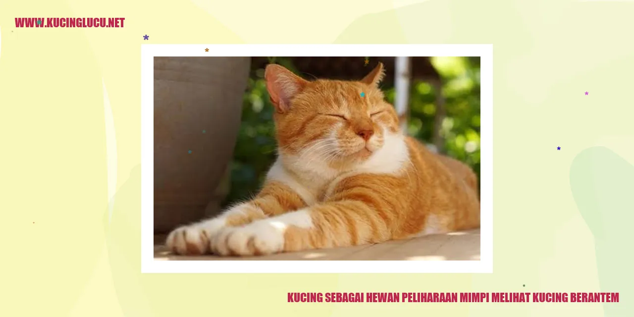 Gambar yang menunjukkan kegembiraan kucing