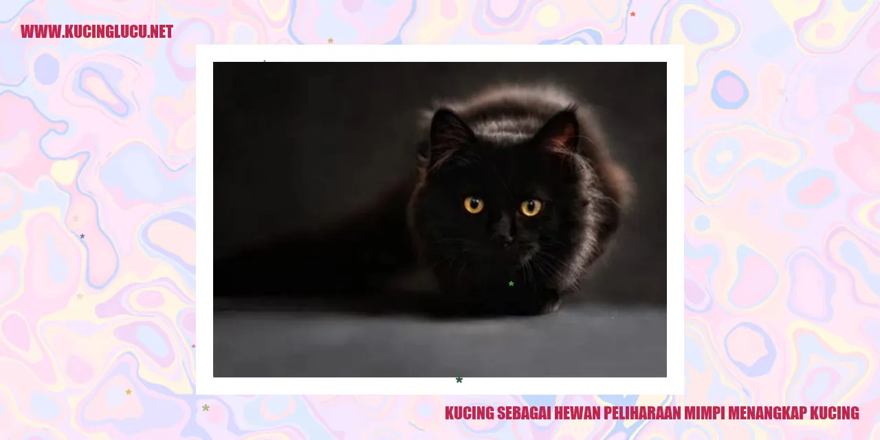 Kucing sebagai Hewan Peliharaan mimpi menangkap kucing