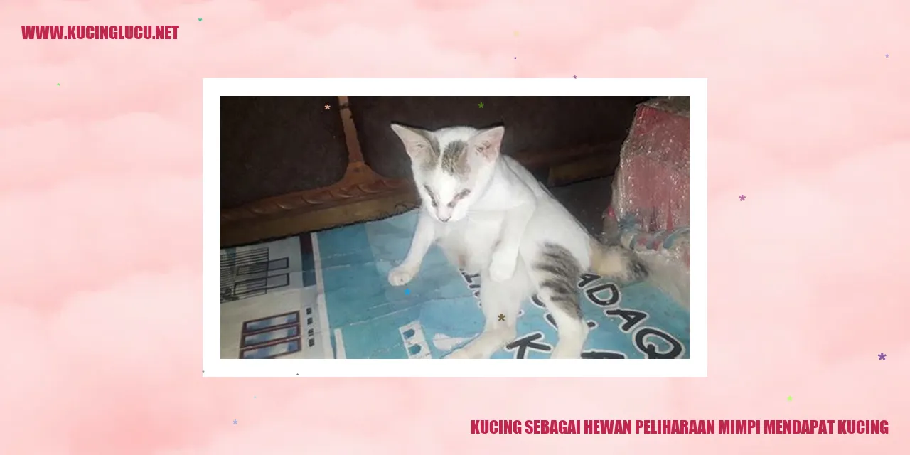 Kucing sebagai Hewan Peliharaan
