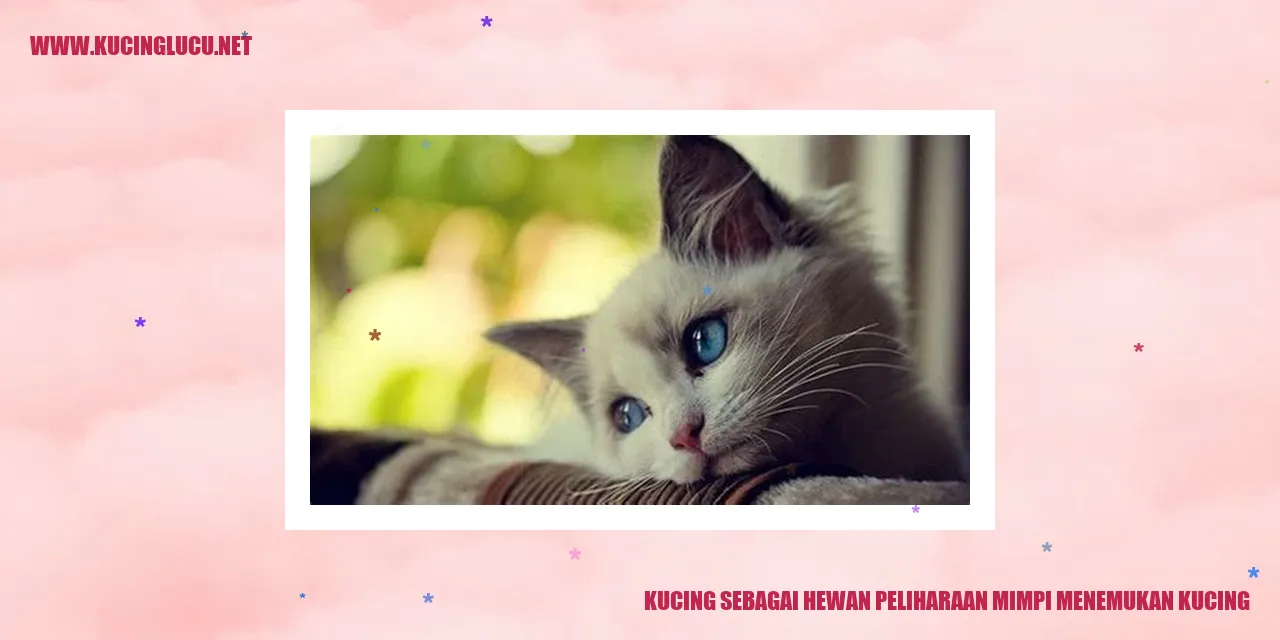 Kucing sebagai Hewan Peliharaan menemukan kucing
