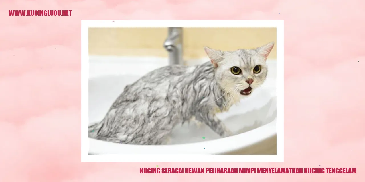 Ilustrasi kucing tenggelam