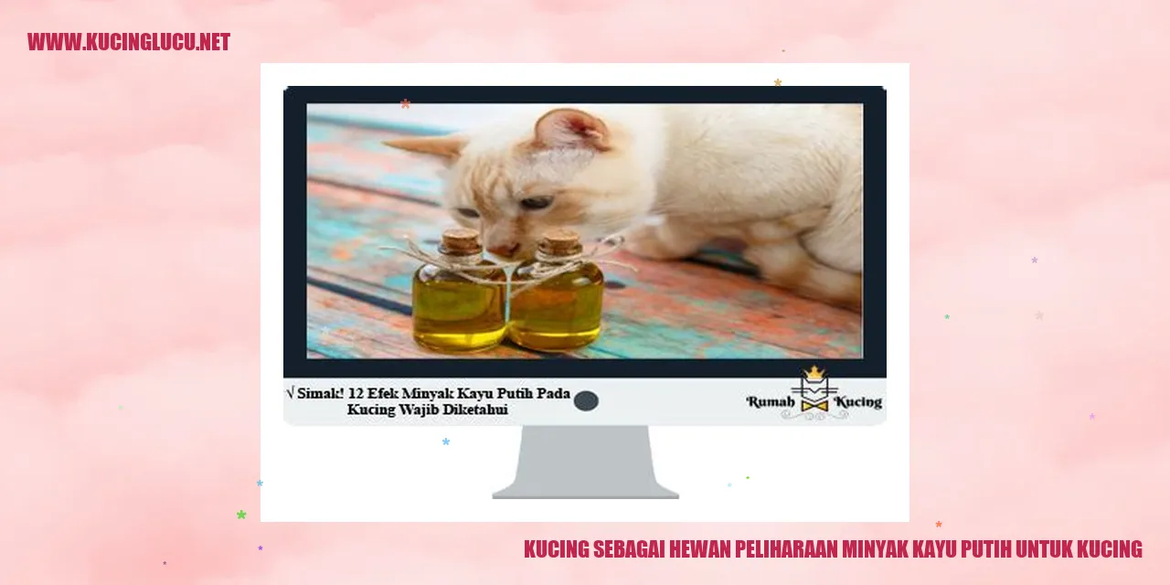 Kucing sebagai Hewan Peliharaan