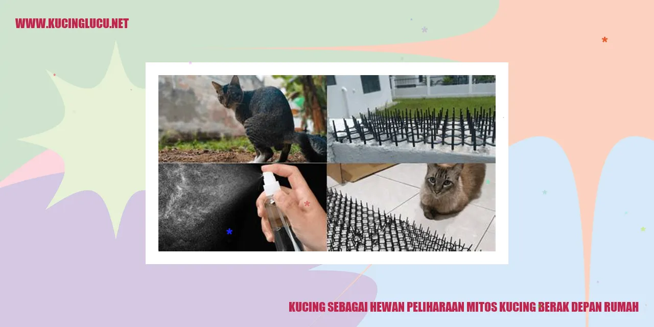 Kucing sebagai Hewan Peliharaan mitos kucing berak depan rumah