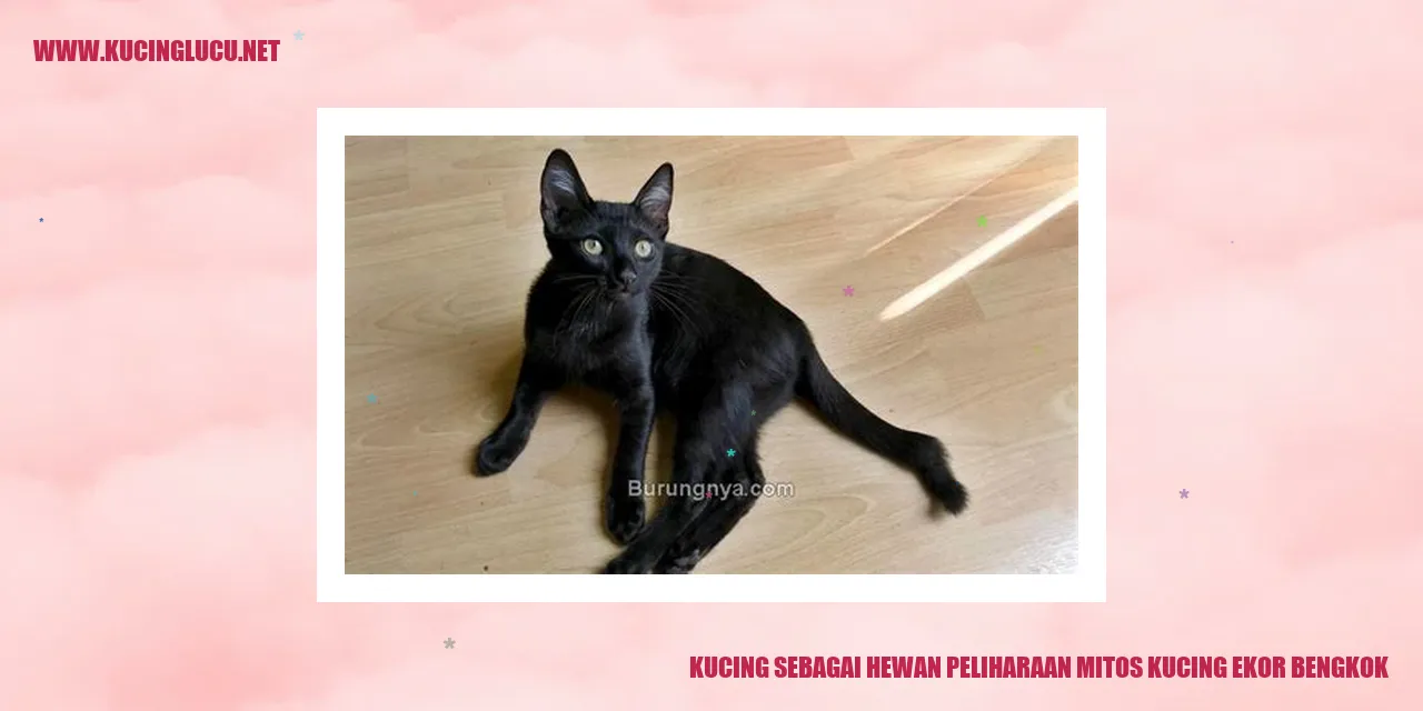 Mitos Kucing Ekor Bengkok