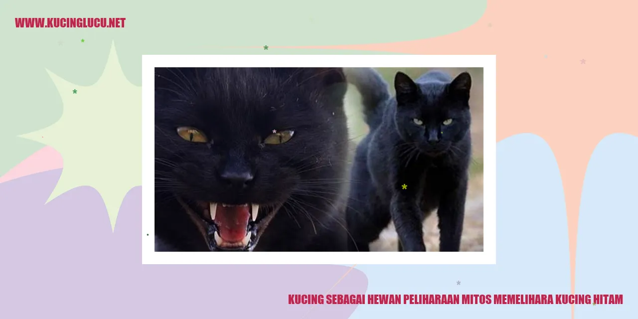 Kucing Hitam yang Elegan