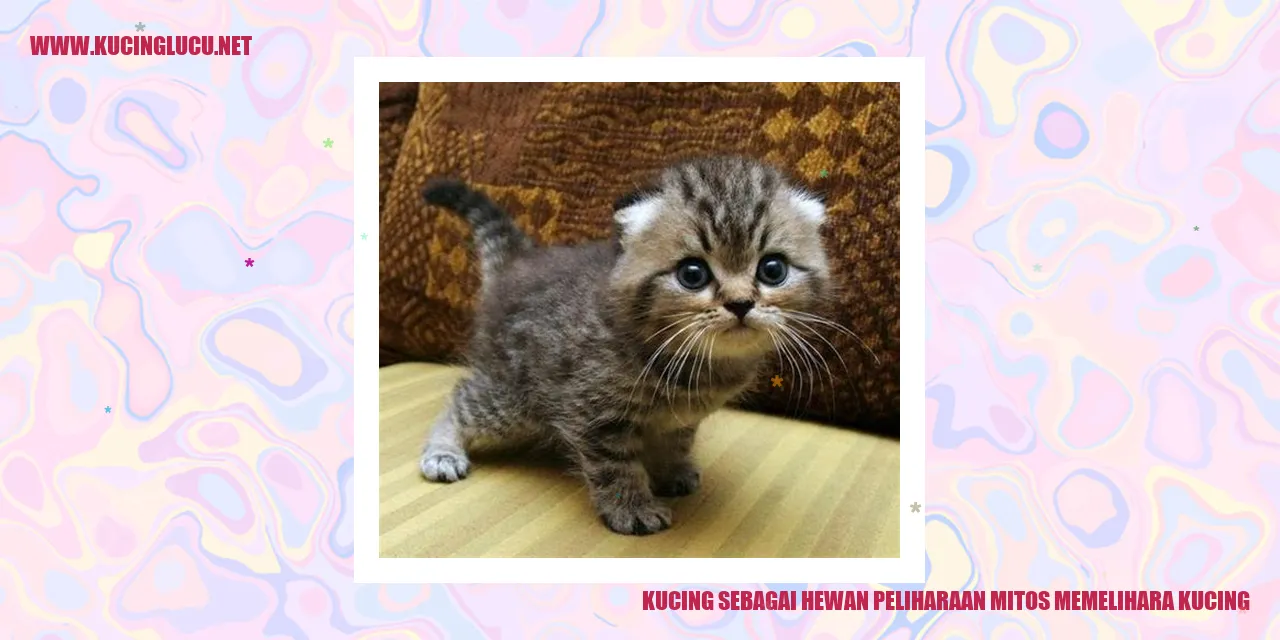 Kucing sebagai Hewan Peliharaan