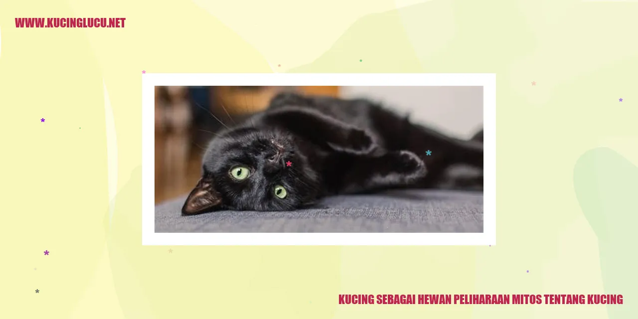 Gambar Kucing
