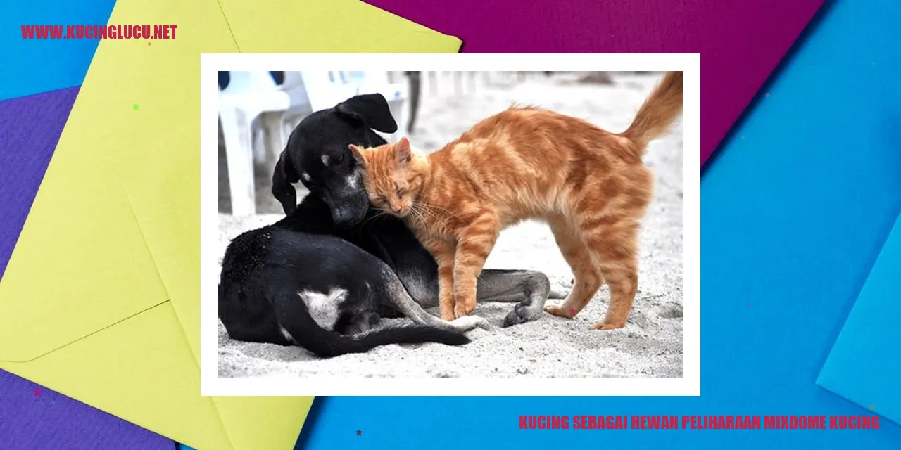 gambar kucing