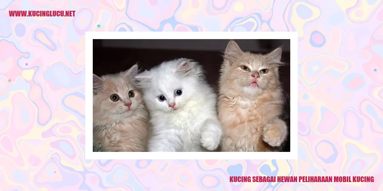 Kucing Menggemaskan