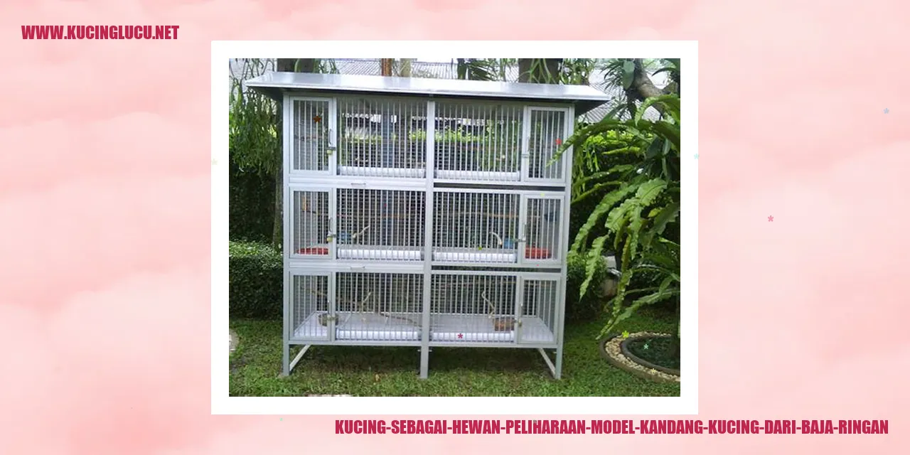 Gambar Kucing Lucu
