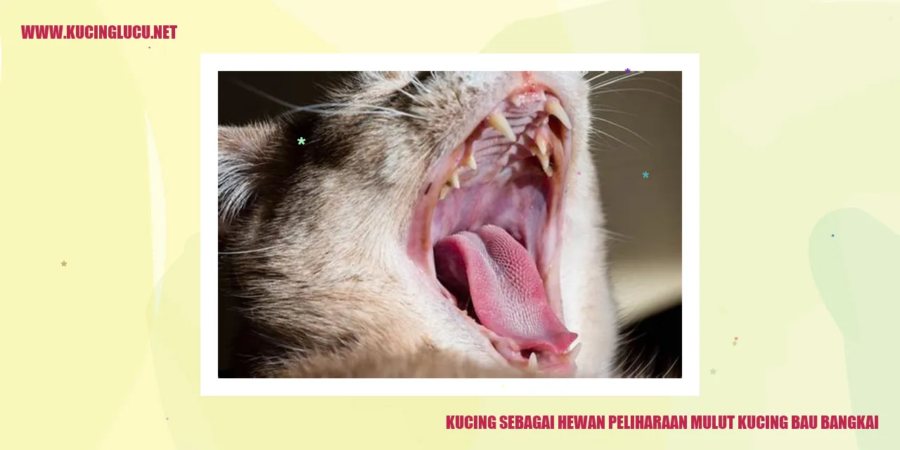 Kucing yang mengeluarkan bau tidak sedap dari mulutnya