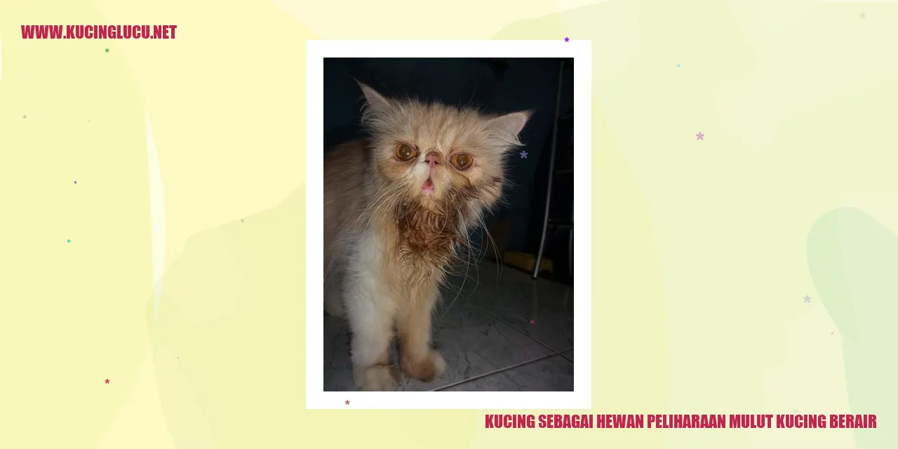Kucing dengan mulut berair