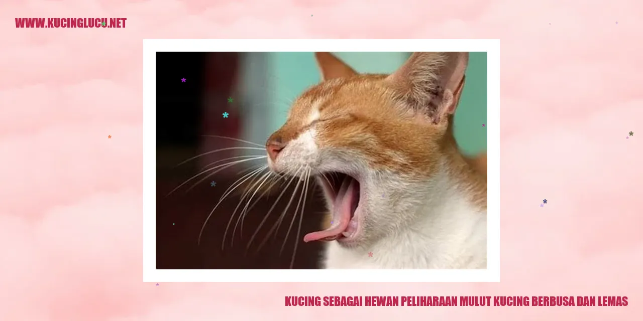 Gambar kucing