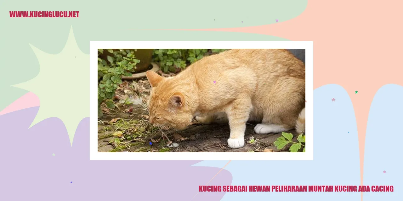 Gambar Kucing
