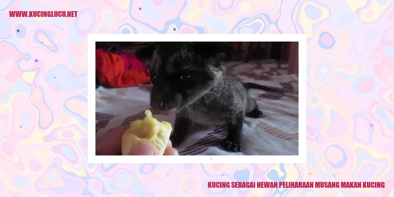 Gambar Kucing dan Musang