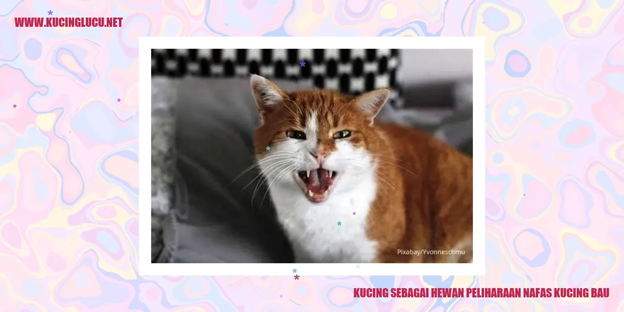 Kucing sebagai Hewan Peliharaan