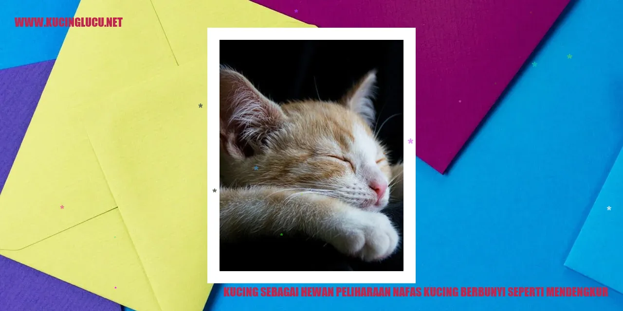 Kucing mengendus