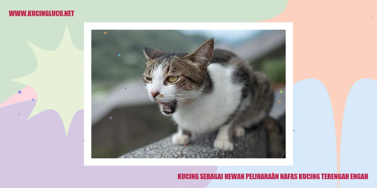 Kucing sebagai Hewan Peliharaan