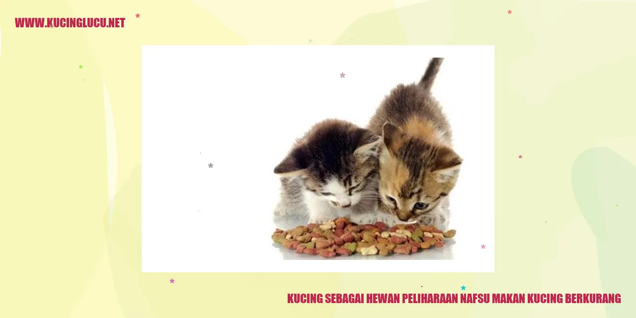 Gambar Kucing