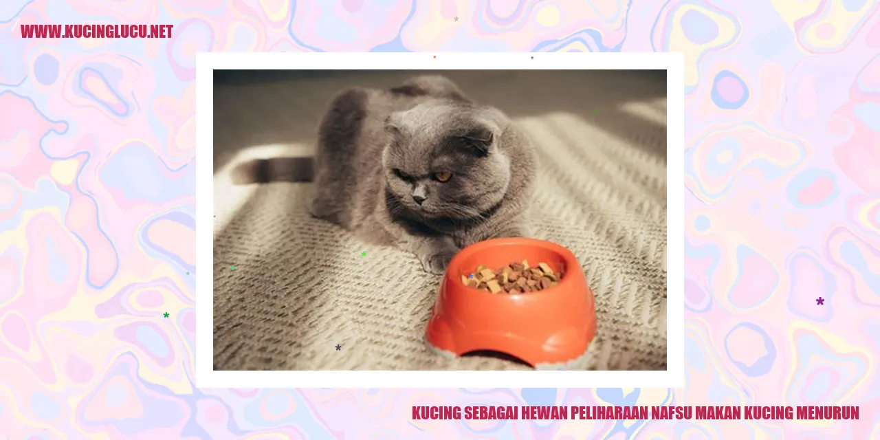 Kucing sebagai Hewan Peliharaan nafsu makan kucing menurun