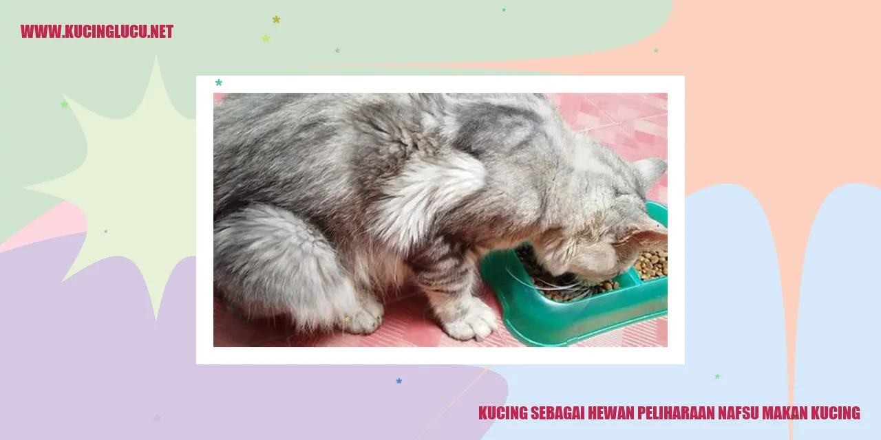 Gambar kucing