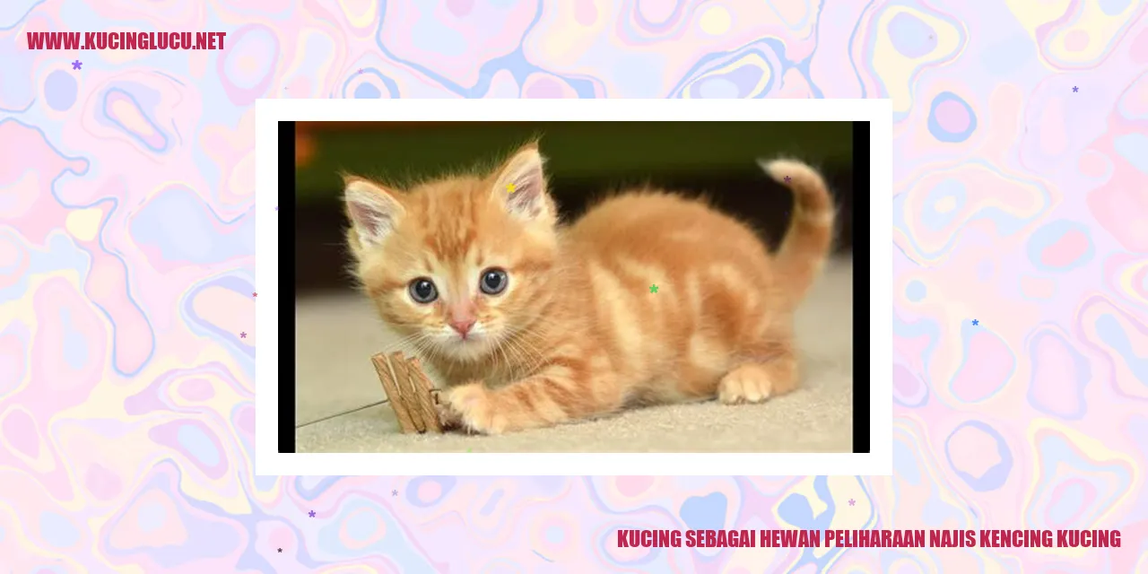 Kucing sebagai Hewan Peliharaan