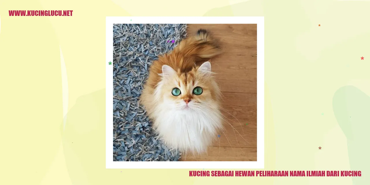 Kucing sebagai Hewan Peliharaan