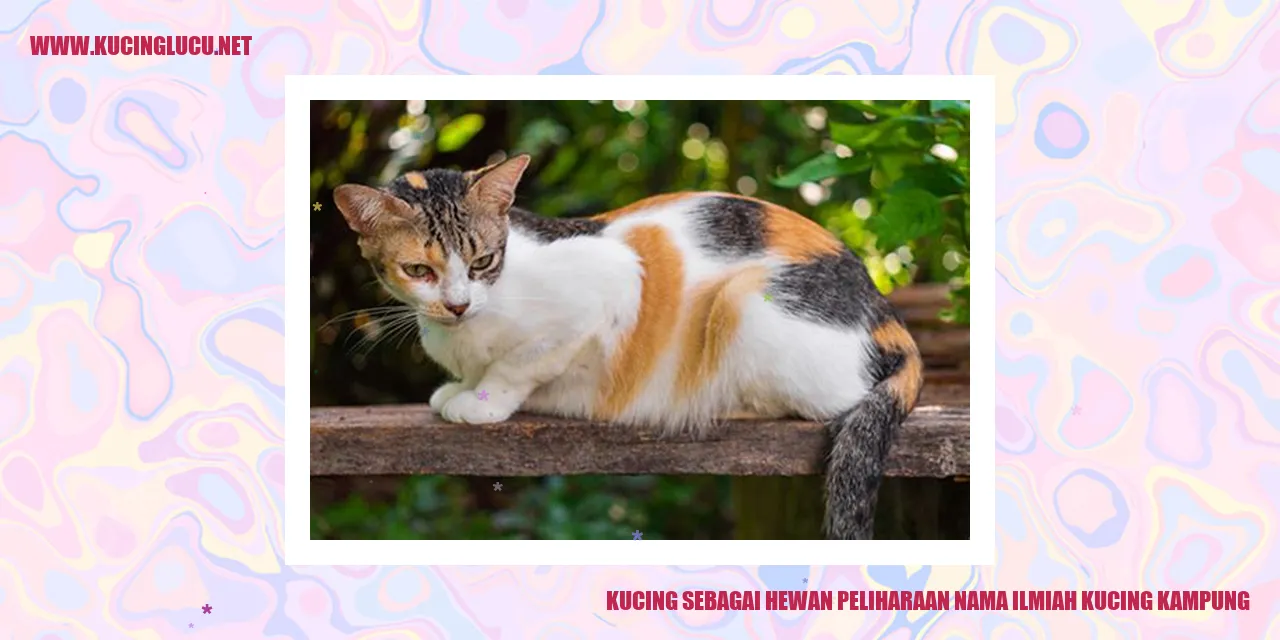 Kucing sebagai Hewan Peliharaan nama ilmiah kucing kampung