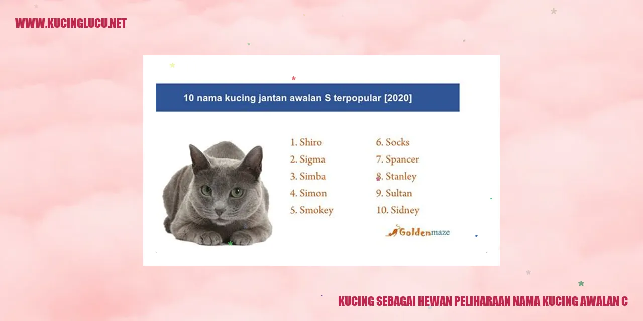 Gambar kucing menggemaskan