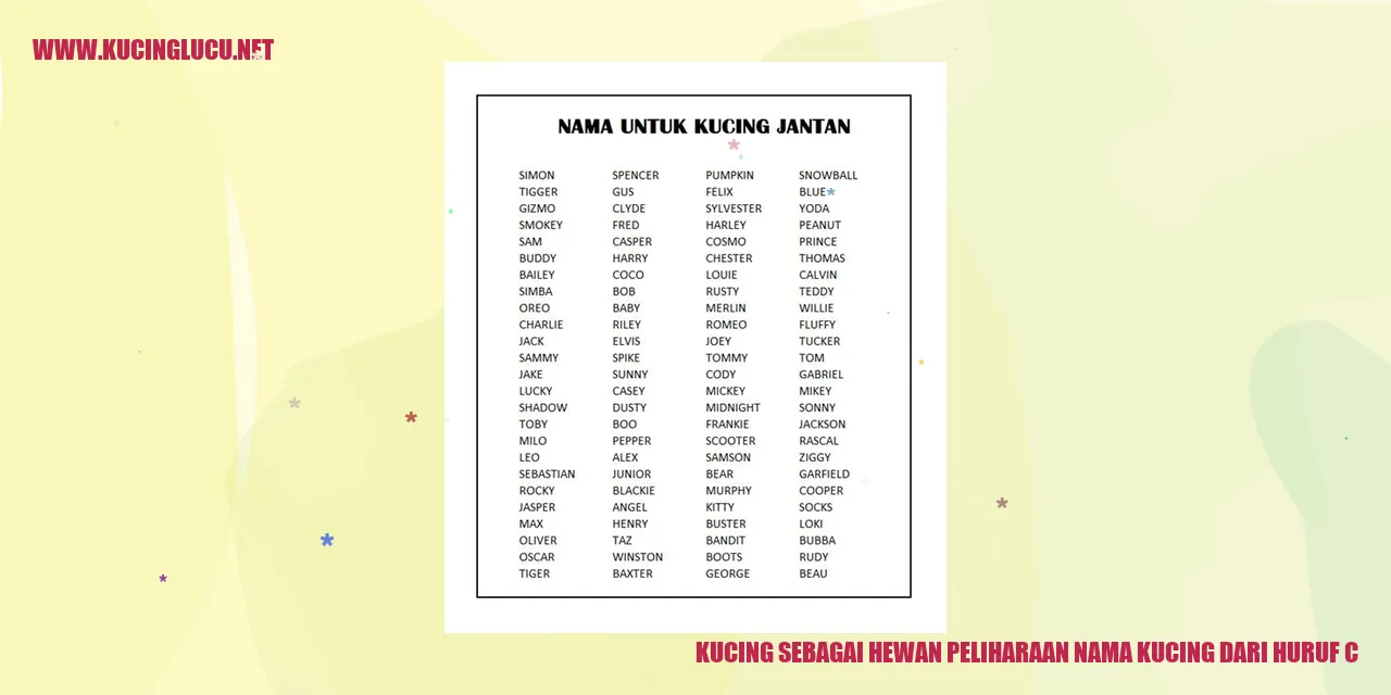 Gambar kucing lucu