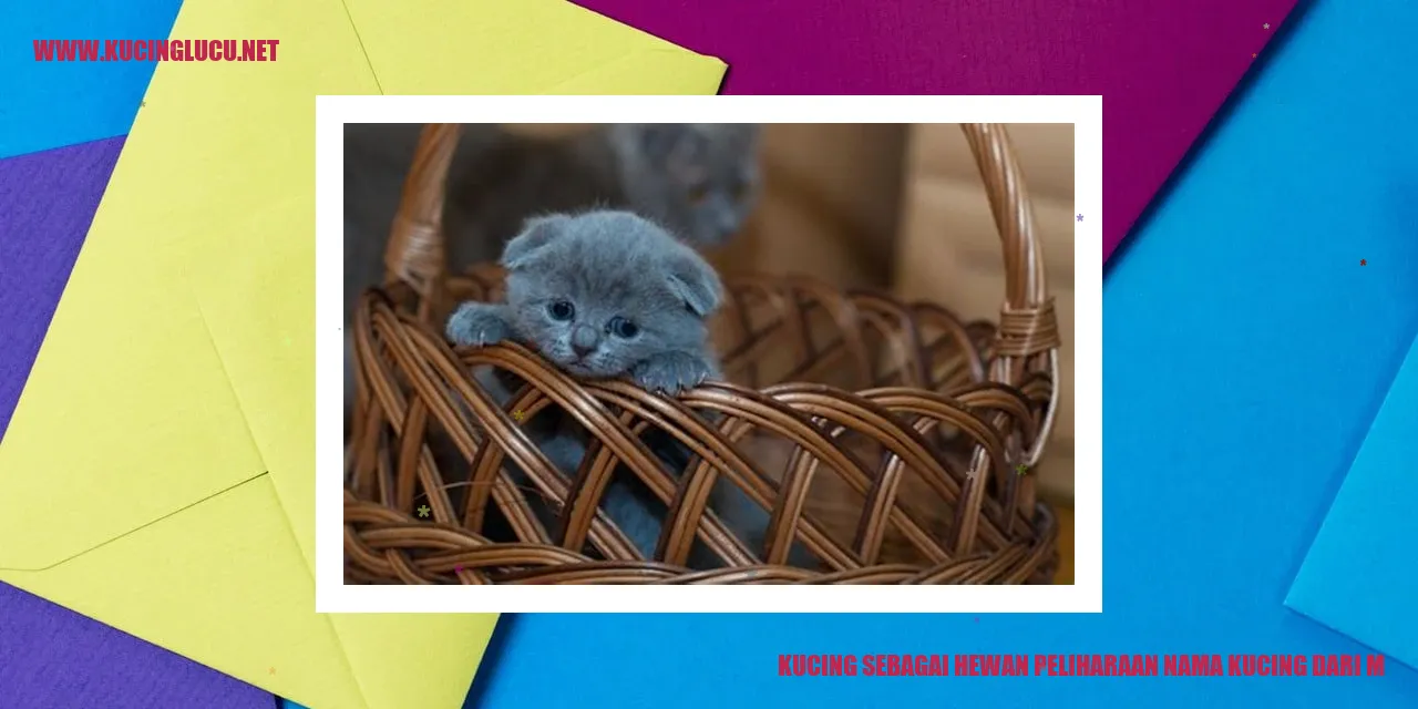Kucing sebagai Hewan Peliharaan