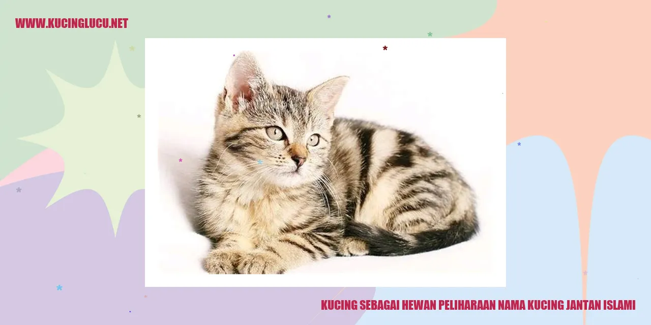 Gambar Kucing