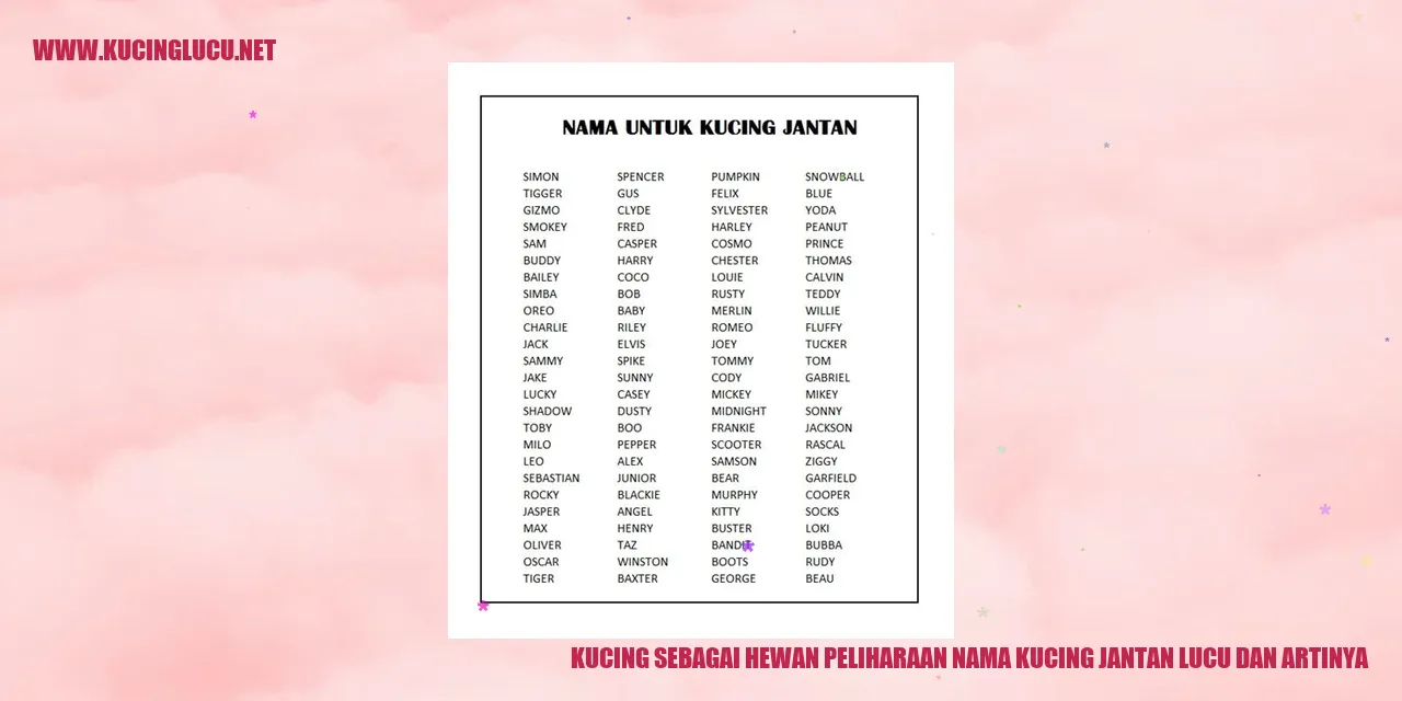 Foto Kucing Lucu