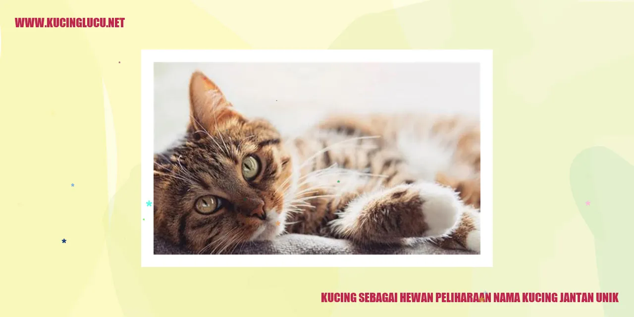 Kucing sebagai Hewan Peliharaan