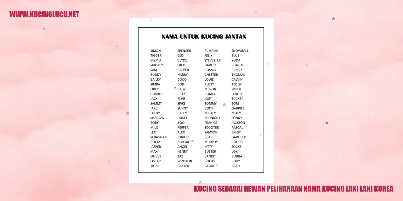 Kucing sebagai Hewan Peliharaan nama kucing laki laki korea