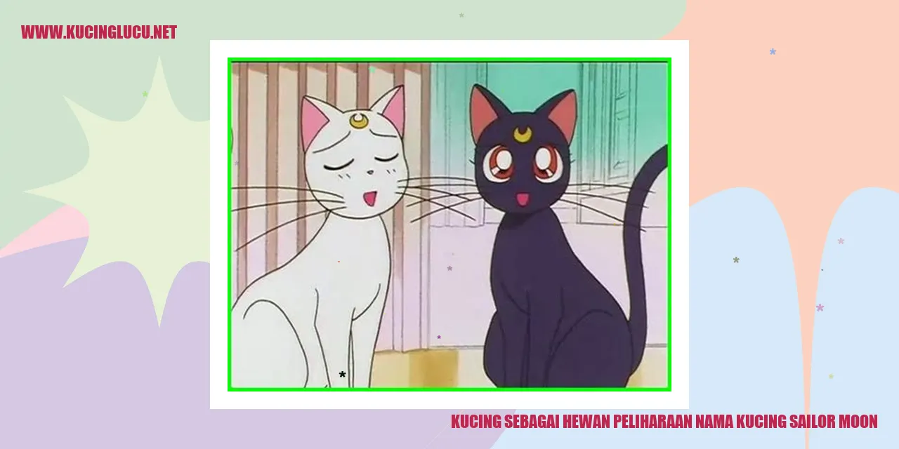 Gambar Kucing Sailor Moon