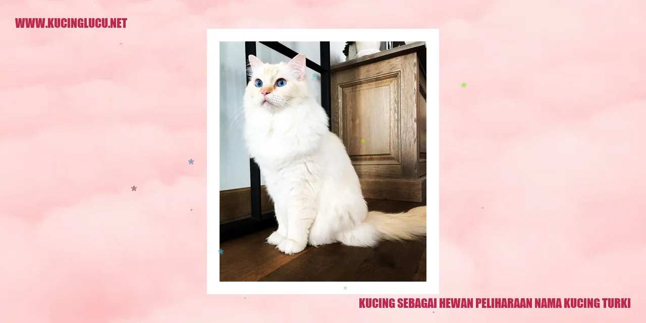 Kucing Peliharaan