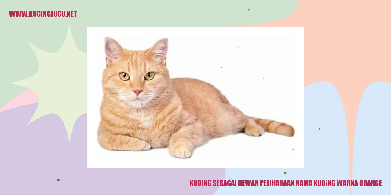 Sorotan Kucing dengan Warna Orange yang Menarik
