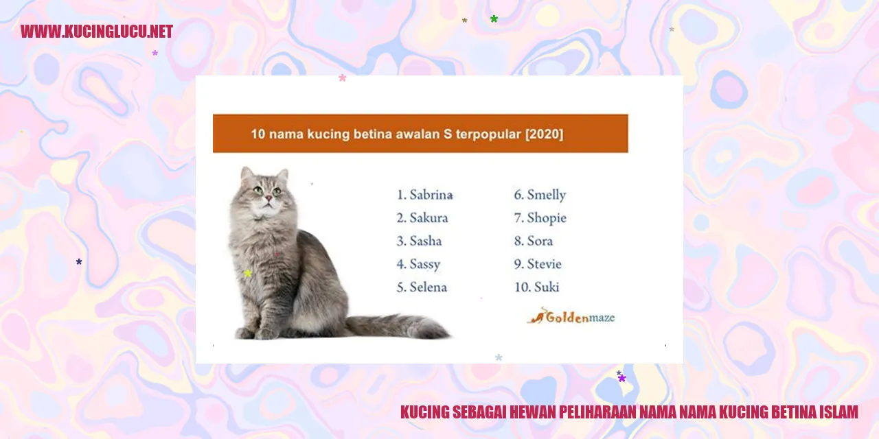 Gambar kucing peliharaan