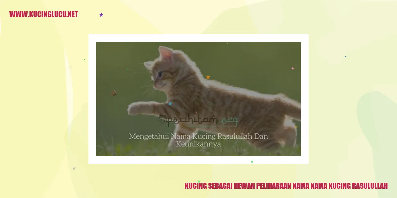 Kucing sebagai Hewan Peliharaan