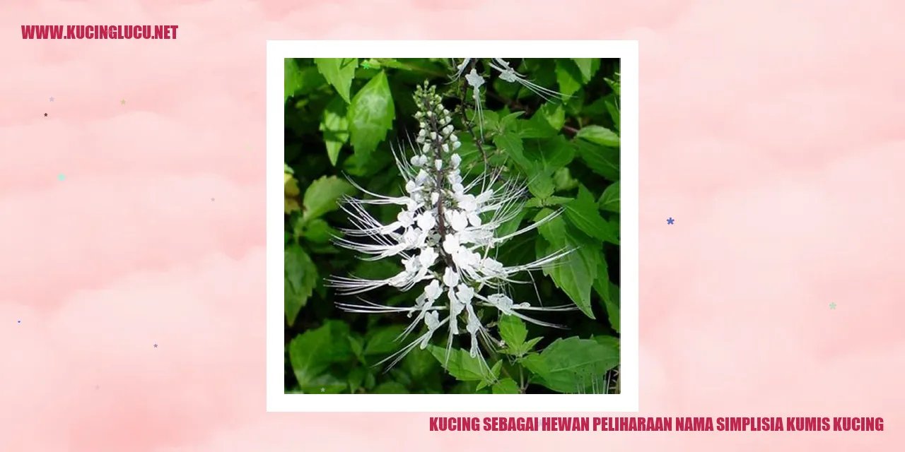 Kucing sebagai Hewan Peliharaan