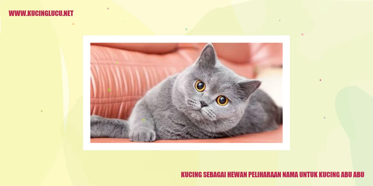 Kucing Abu-abu sebagai Hewan Peliharaan